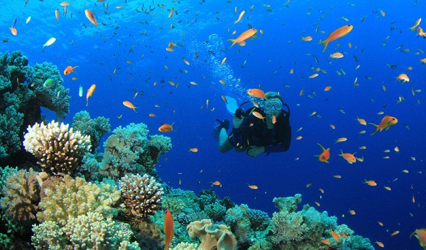 cozumel